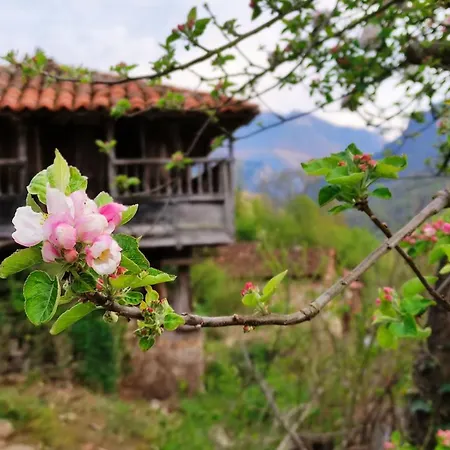 Casa La Parra Villar de Vildas